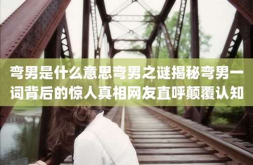 弯男是什么意思弯男之谜揭秘弯男一词背后的惊人真相网友直呼颠覆认知