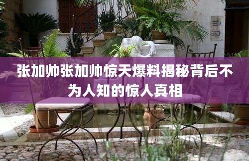 张加帅张加帅惊天爆料揭秘背后不为人知的惊人真相