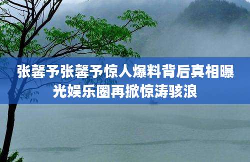 张馨予张馨予惊人爆料背后真相曝光娱乐圈再掀惊涛骇浪
