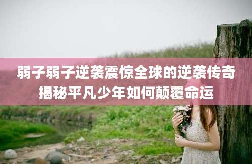 弱子弱子逆袭震惊全球的逆袭传奇揭秘平凡少年如何颠覆命运