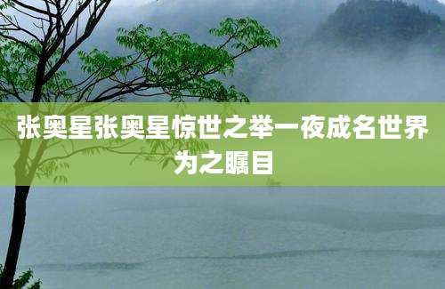 张奥星张奥星惊世之举一夜成名世界为之瞩目
