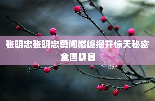 张明忠张明忠勇闯巅峰揭开惊天秘密全国瞩目