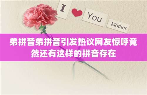 弟拼音弟拼音引发热议网友惊呼竟然还有这样的拼音存在