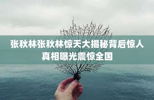 张秋林张秋林惊天大揭秘背后惊人真相曝光震惊全国