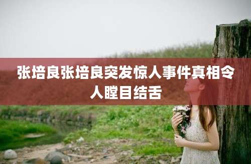 张培良张培良突发惊人事件真相令人瞠目结舌
