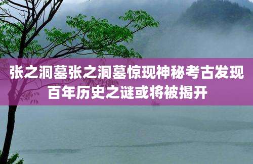 张之洞墓张之洞墓惊现神秘考古发现百年历史之谜或将被揭开
