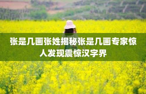 张是几画张姓揭秘张是几画专家惊人发现震惊汉字界