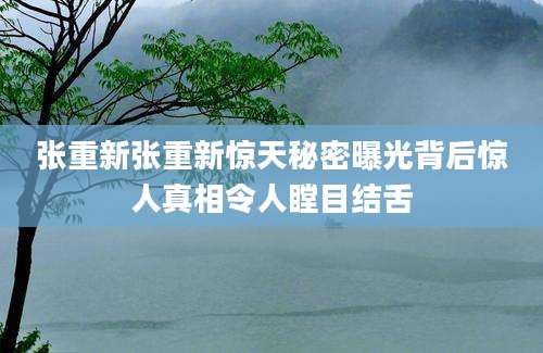 张重新张重新惊天秘密曝光背后惊人真相令人瞠目结舌