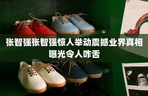 张智强张智强惊人举动震撼业界真相曝光令人咋舌