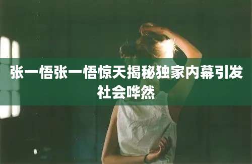 张一悟张一悟惊天揭秘独家内幕引发社会哗然