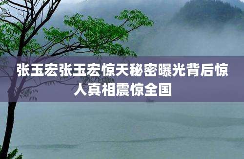 张玉宏张玉宏惊天秘密曝光背后惊人真相震惊全国
