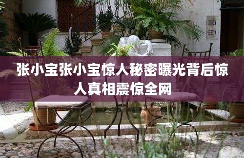 张小宝张小宝惊人秘密曝光背后惊人真相震惊全网