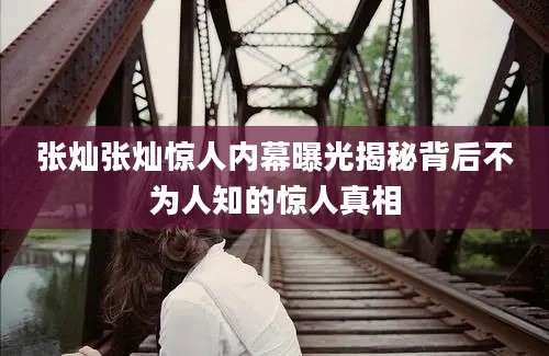 张灿张灿惊人内幕曝光揭秘背后不为人知的惊人真相