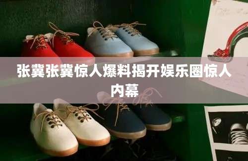张冀张冀惊人爆料揭开娱乐圈惊人内幕